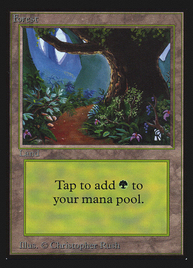 Forest (Flower Path) [International Collectors' Edition] | Jomio and Rueliete's Cards and Comics