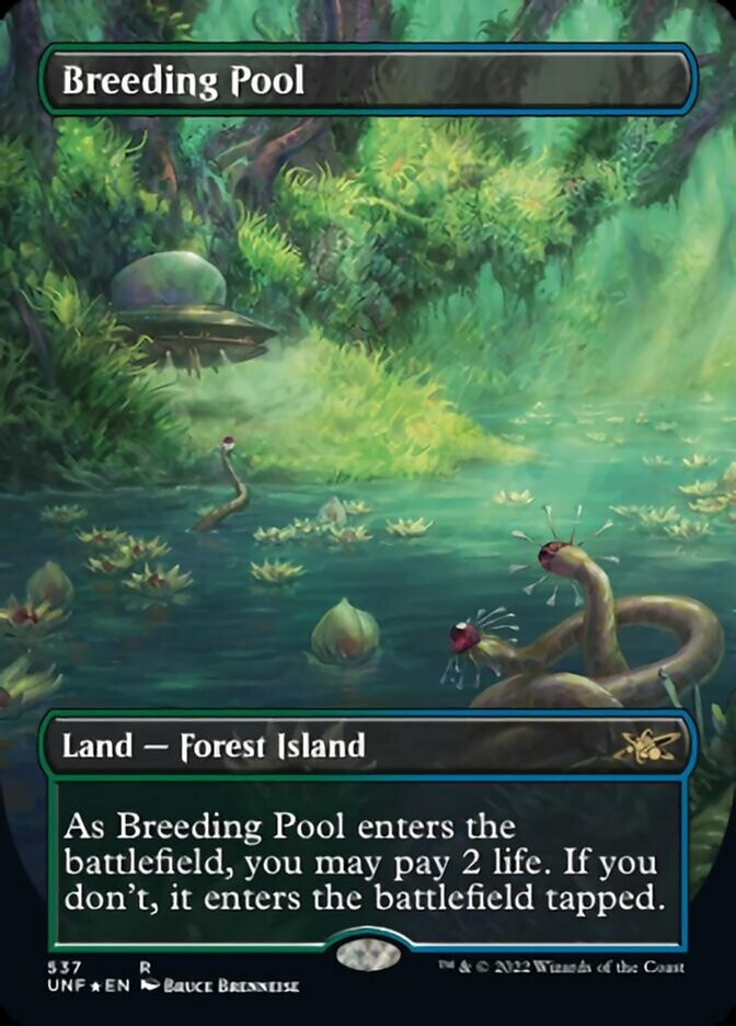 Breeding Pool (Borderless) (Galaxy Foil) [Unfinity] | Jomio and Rueliete's Cards and Comics
