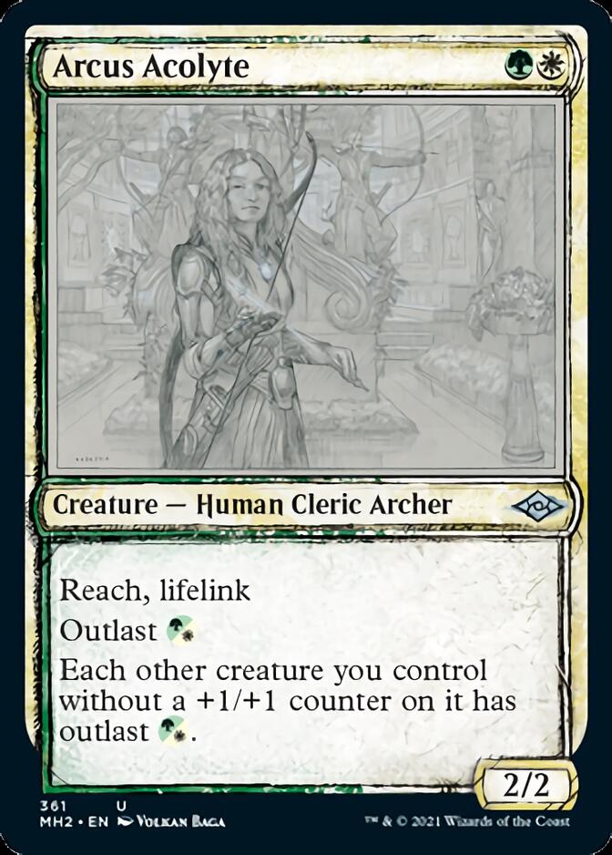 Arcus Acolyte (Sketch) [Modern Horizons 2] | Jomio and Rueliete's Cards and Comics