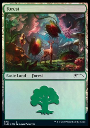 Forest (Predatory) (578) [Secret Lair Drop Promos] | Jomio and Rueliete's Cards and Comics