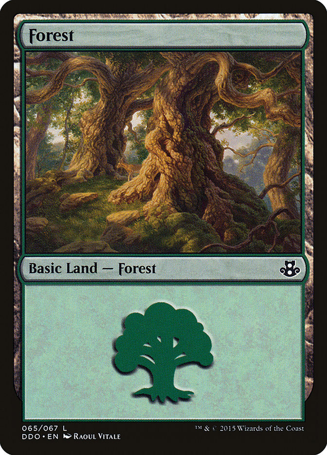 Forest (65) [Duel Decks: Elspeth vs. Kiora] | Jomio and Rueliete's Cards and Comics