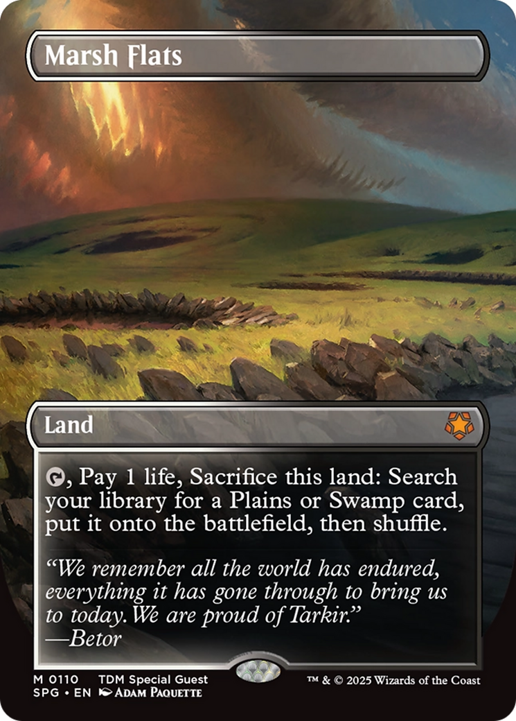 Marsh Flats (Borderless) [Tarkir: Dragonstorm Special Guests] | Jomio and Rueliete's Cards and Comics
