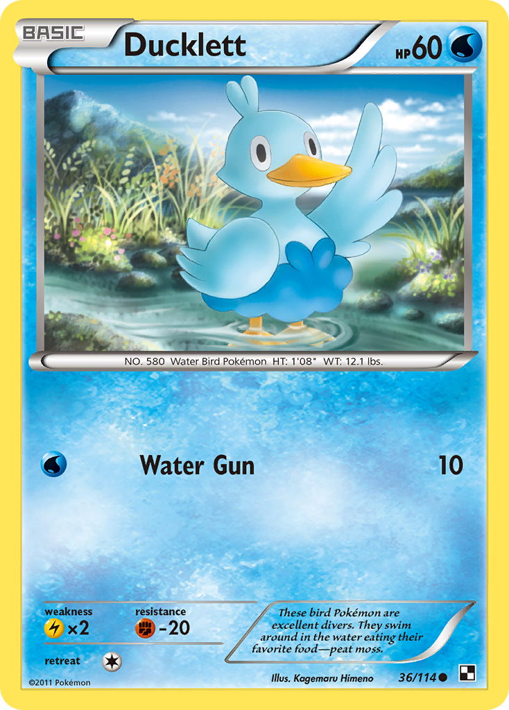 Ducklett (36/114) [Black & White: Base Set] | Jomio and Rueliete's Cards and Comics