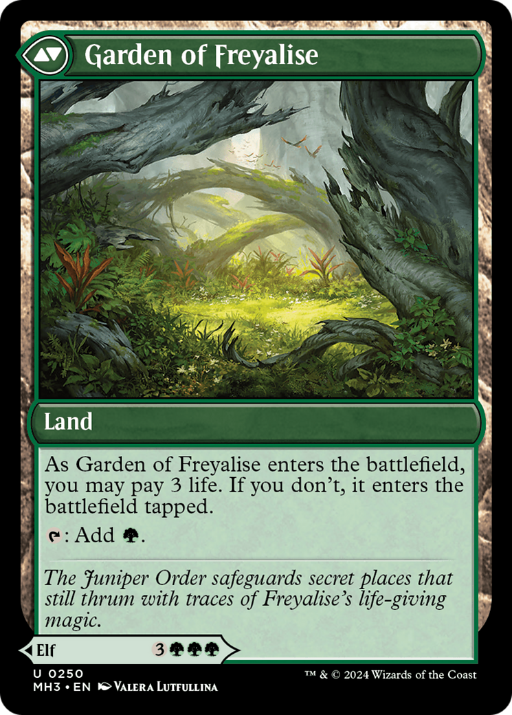 Disciple of Freyalise [Modern Horizons 3] | Jomio and Rueliete's Cards and Comics