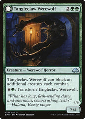 Tangleclaw Werewolf // Fibrous Entangler [Eldritch Moon] | Jomio and Rueliete's Cards and Comics