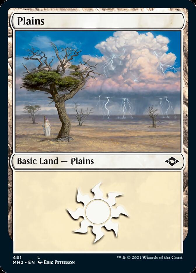 Plains (481) (Foil Etched) [Modern Horizons 2] | Jomio and Rueliete's Cards and Comics