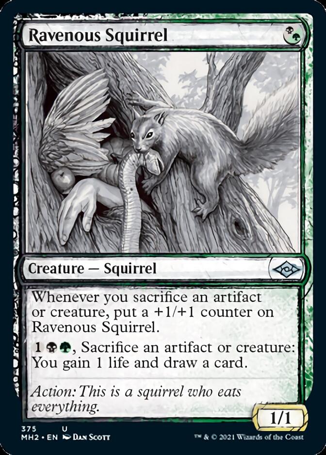 Ravenous Squirrel (Sketch) [Modern Horizons 2] | Jomio and Rueliete's Cards and Comics