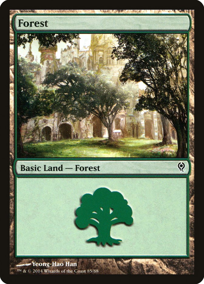 Forest (85) [Duel Decks: Jace vs. Vraska] | Jomio and Rueliete's Cards and Comics