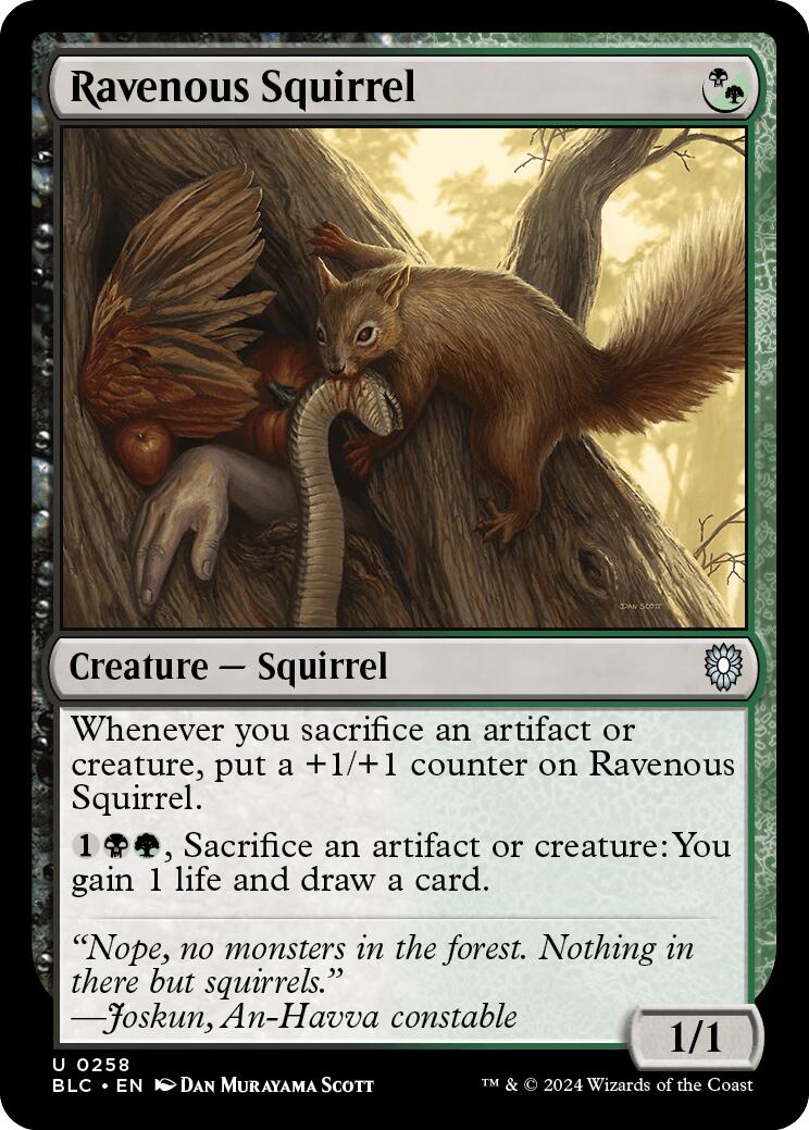 Ravenous Squirrel [Bloomburrow Commander] | Jomio and Rueliete's Cards and Comics