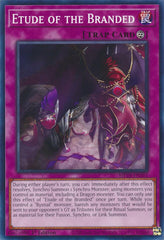 Etude of the Branded [MP24-EN351] Common | Jomio and Rueliete's Cards and Comics