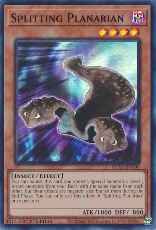 Splitting Planarian [ROTA-EN100] Super Rare | Jomio and Rueliete's Cards and Comics