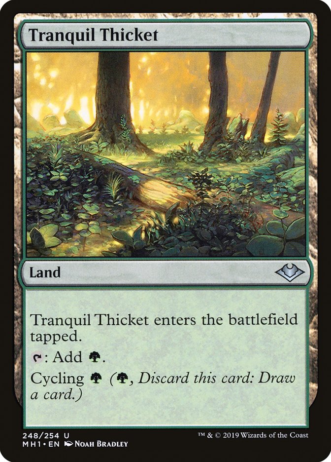 Tranquil Thicket [Modern Horizons] | Jomio and Rueliete's Cards and Comics