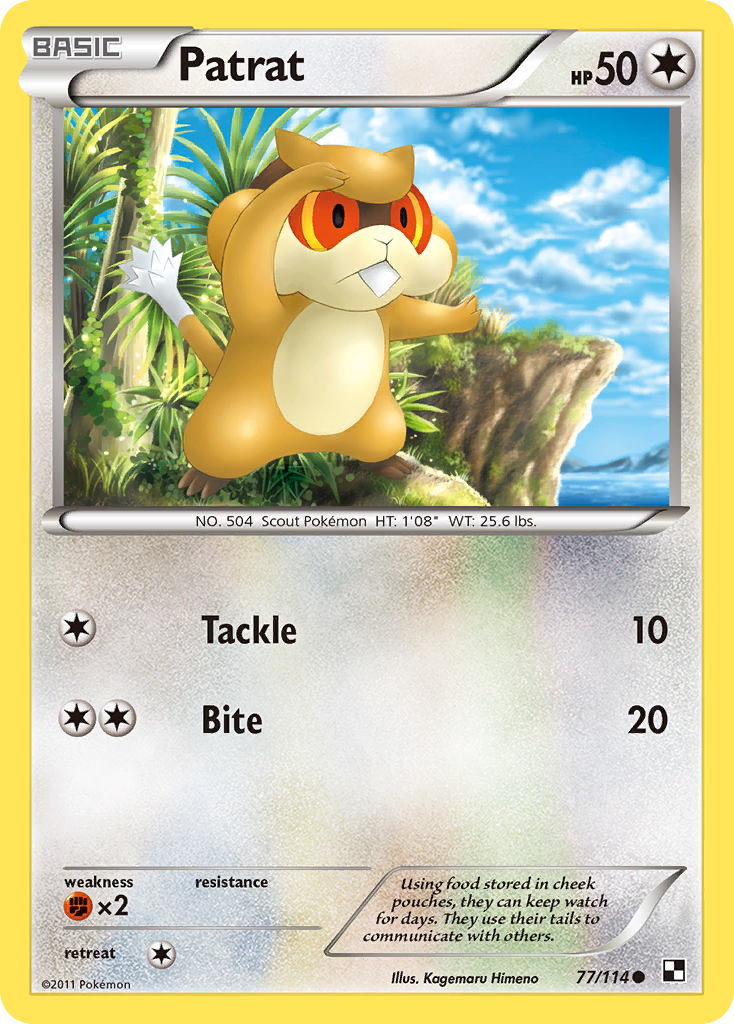 Patrat (77/114) [Black & White: Base Set] | Jomio and Rueliete's Cards and Comics