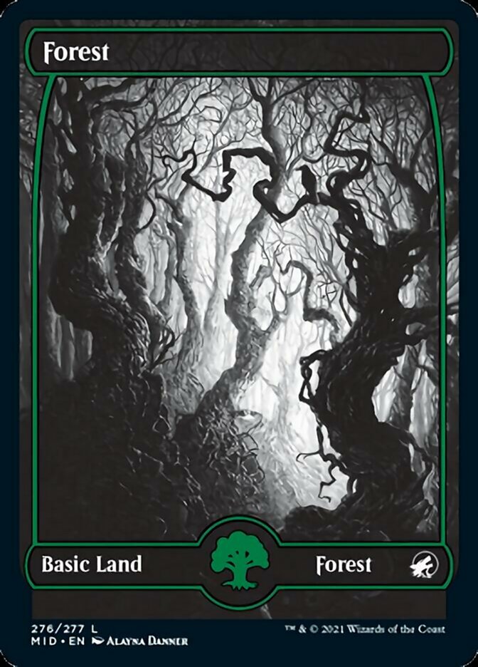 Forest (276) [Innistrad: Midnight Hunt] | Jomio and Rueliete's Cards and Comics