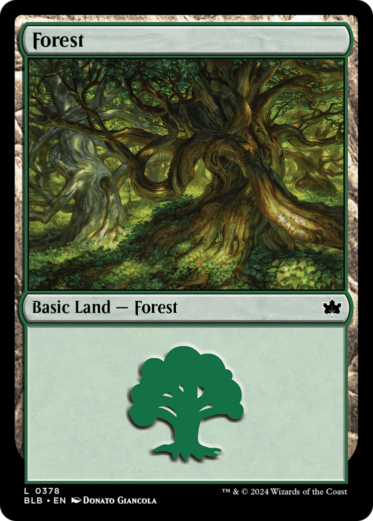 Forest (0378) [Bloomburrow] | Jomio and Rueliete's Cards and Comics