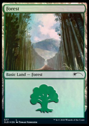 Forest (Walls) (577) [Secret Lair Drop Promos] | Jomio and Rueliete's Cards and Comics