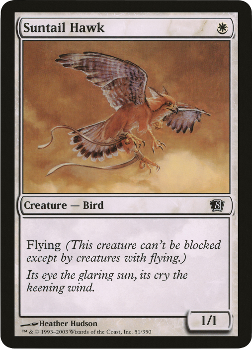 Suntail Hawk (Oversized) [Eighth Edition Box Topper] | Jomio and Rueliete's Cards and Comics