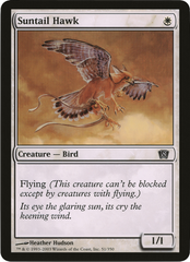 Suntail Hawk (Oversized) [Eighth Edition Box Topper] | Jomio and Rueliete's Cards and Comics