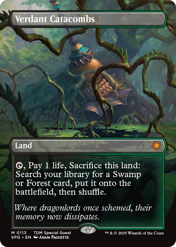 Verdant Catacombs (Borderless) [Tarkir: Dragonstorm Special Guests] | Jomio and Rueliete's Cards and Comics
