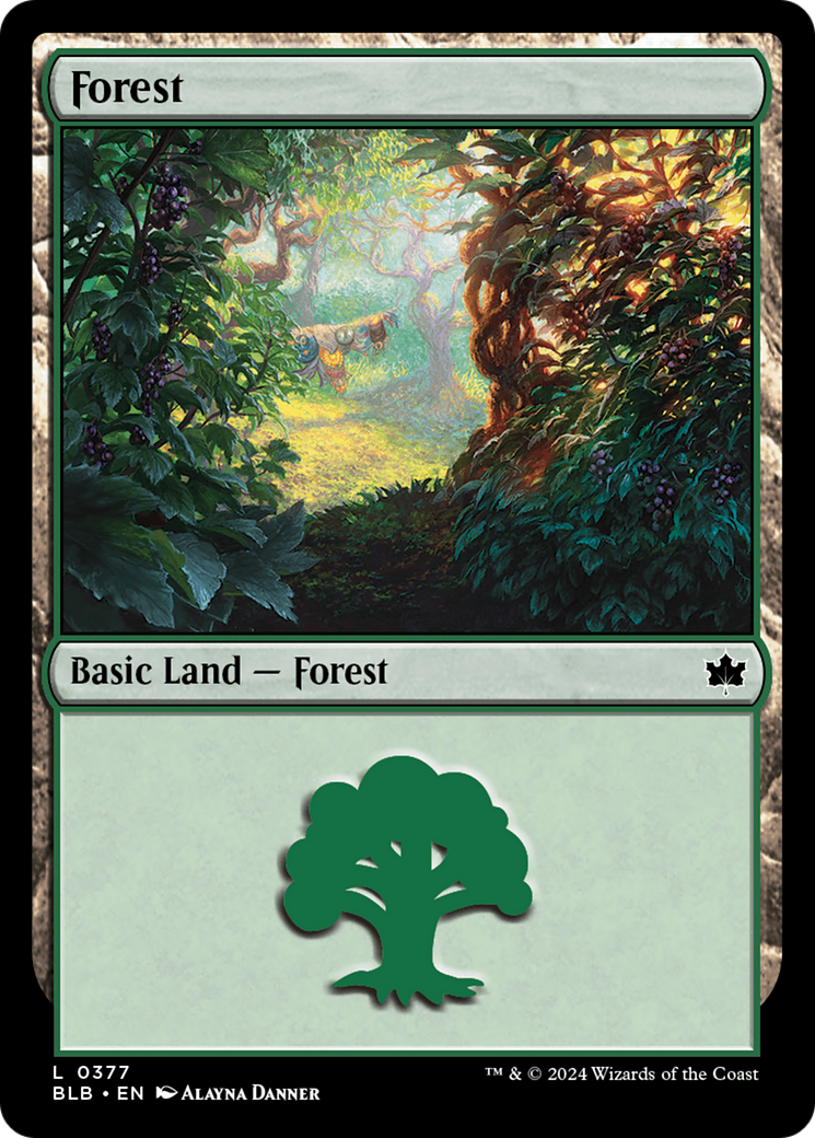 Forest (0377) [Bloomburrow] | Jomio and Rueliete's Cards and Comics