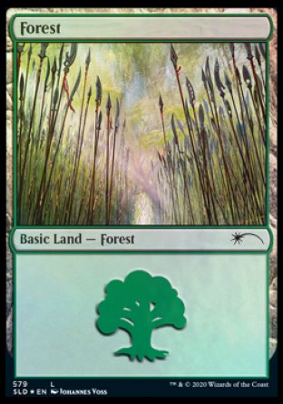 Forest (Elves) (579) [Secret Lair Drop Promos] | Jomio and Rueliete's Cards and Comics