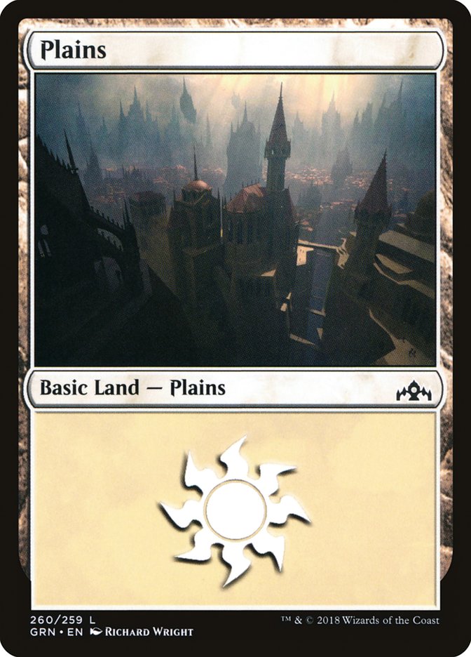Plains (260) [Guilds of Ravnica] | Jomio and Rueliete's Cards and Comics