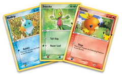 First Partner Pack (Hoenn) | Jomio and Rueliete's Cards and Comics