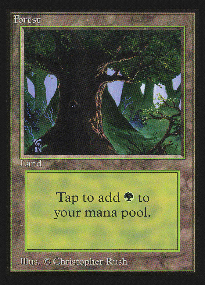 Forest (Eyes in Tree) [Collectors' Edition] | Jomio and Rueliete's Cards and Comics