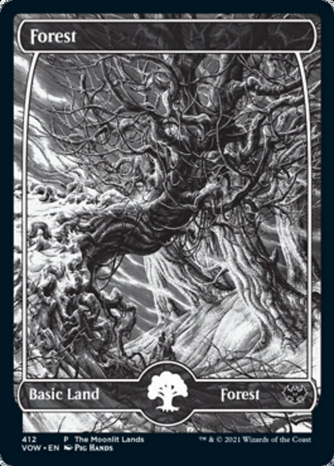 Forest (The Moonlit Lands) (Foil Etched) [Innistrad: Crimson Vow Promos] | Jomio and Rueliete's Cards and Comics