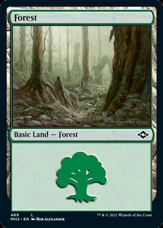 Forest (489) (Foil Etched) [Modern Horizons 2] | Jomio and Rueliete's Cards and Comics