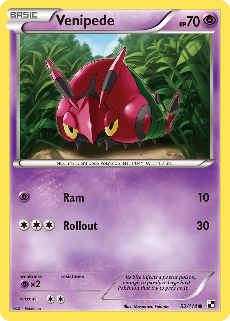 Venipede (52/114) [Black & White: Base Set] | Jomio and Rueliete's Cards and Comics