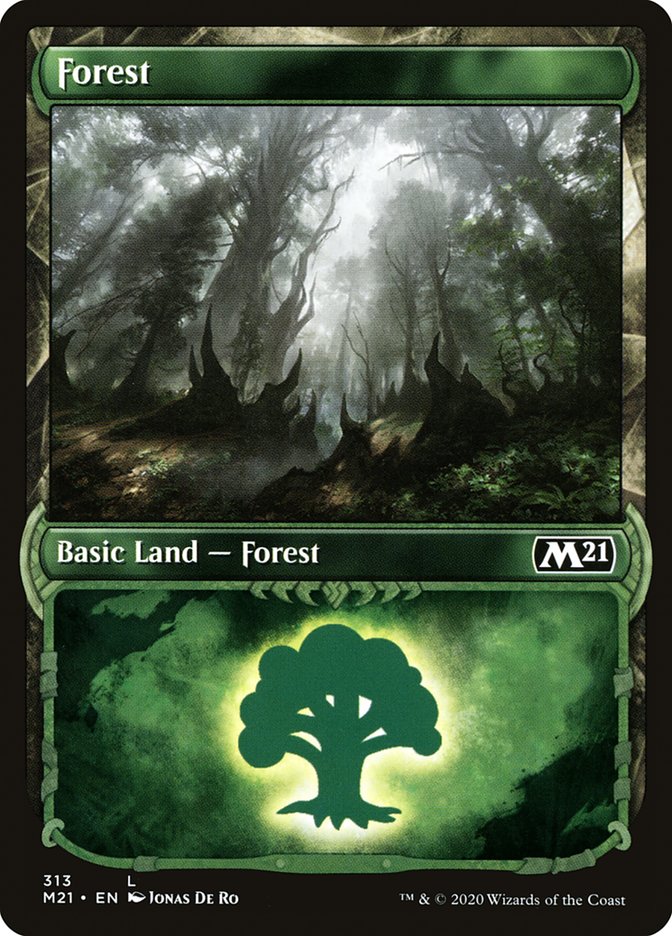 Forest (313) (Showcase) [Core Set 2021] | Jomio and Rueliete's Cards and Comics
