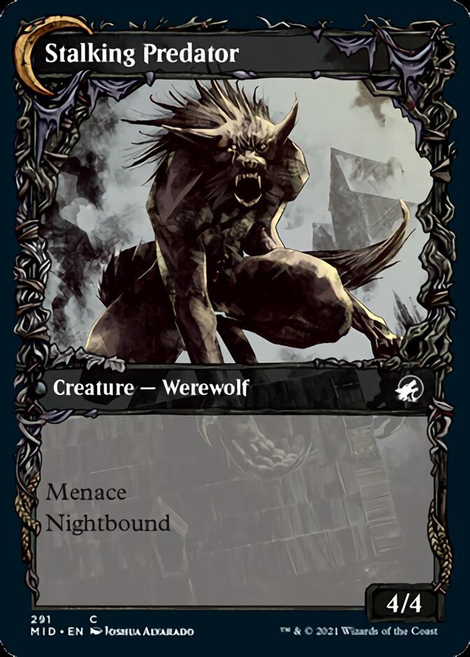 Shady Traveler // Stalking Predator (Showcase Equinox) [Innistrad: Midnight Hunt] | Jomio and Rueliete's Cards and Comics