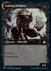 Shady Traveler // Stalking Predator (Showcase Equinox) [Innistrad: Midnight Hunt] | Jomio and Rueliete's Cards and Comics