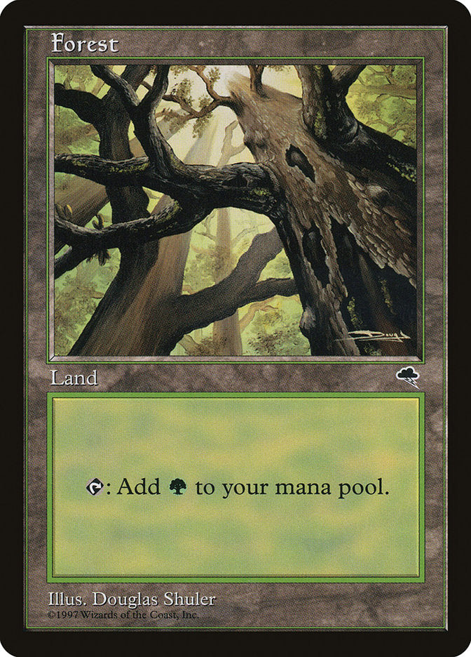 Forest (Looking from Below) [Tempest] | Jomio and Rueliete's Cards and Comics