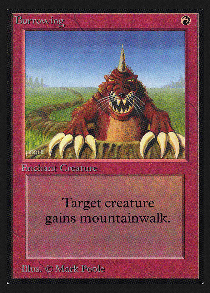 Burrowing [Collectors' Edition] | Jomio and Rueliete's Cards and Comics