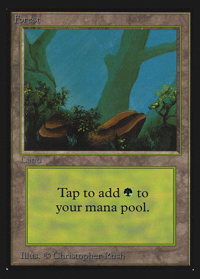 Forest (Two Stones) [Collectors' Edition] | Jomio and Rueliete's Cards and Comics