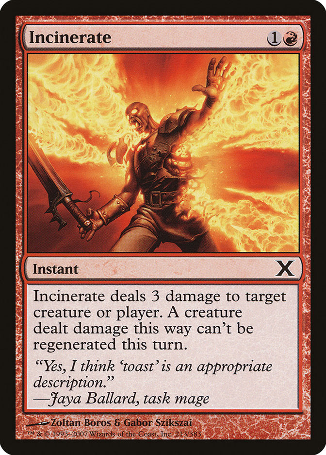 Incinerate [Tenth Edition] | Jomio and Rueliete's Cards and Comics