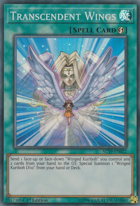 Transcendent Wings [AC19-EN022] Super Rare | Jomio and Rueliete's Cards and Comics