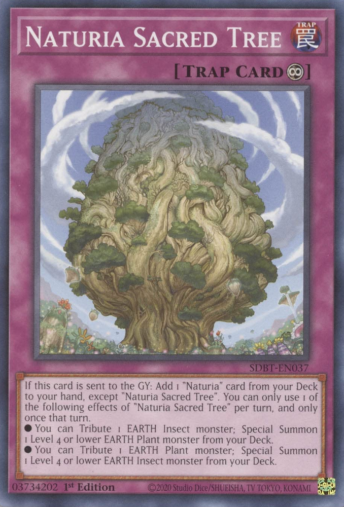 Naturia Sacred Tree [SDBT-EN037] Common | Jomio and Rueliete's Cards and Comics