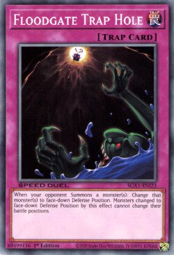 Floodgate Trap Hole [SGX1-ENI23] Common | Jomio and Rueliete's Cards and Comics