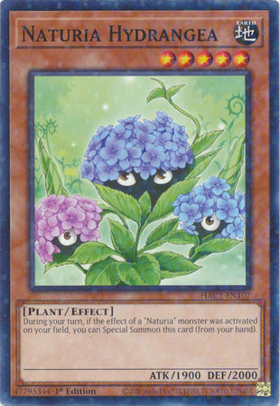 Naturia Hydrangea (Duel Terminal) [HAC1-EN107] Common | Jomio and Rueliete's Cards and Comics