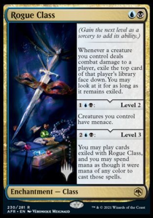Rogue Class (Promo Pack) [Dungeons & Dragons: Adventures in the Forgotten Realms Promos] | Jomio and Rueliete's Cards and Comics