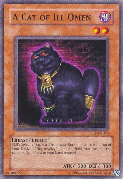 A Cat of Ill Omen [DR1-EN018] Common | Jomio and Rueliete's Cards and Comics