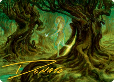 Neverwinter Dryad Art Card (Gold-Stamped Signature) [Dungeons & Dragons: Adventures in the Forgotten Realms Art Series] | Jomio and Rueliete's Cards and Comics