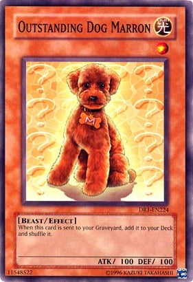 Outstanding Dog Marron [DR1-EN224] Common | Jomio and Rueliete's Cards and Comics