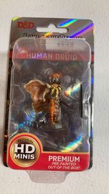 Painted DnD Miniature | Jomio and Rueliete's Cards and Comics