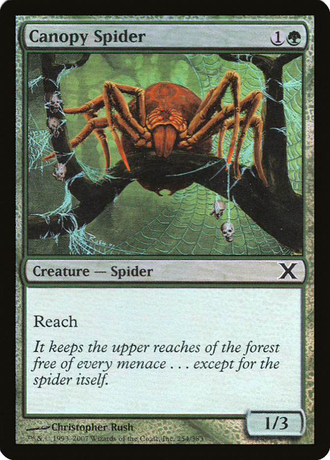 Canopy Spider (Premium Foil) [Tenth Edition] | Jomio and Rueliete's Cards and Comics