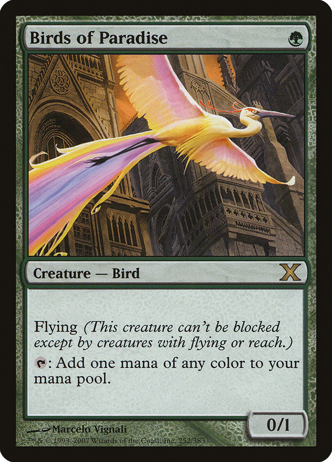 Birds of Paradise [Tenth Edition] | Jomio and Rueliete's Cards and Comics