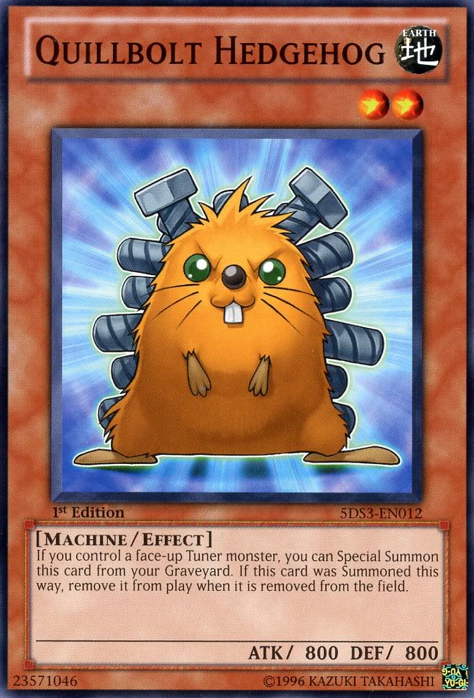 Quillbolt Hedgehog [5DS3-EN012] Common | Jomio and Rueliete's Cards and Comics